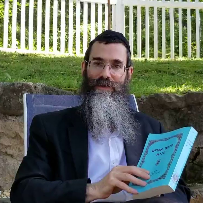 A Taste Of Chassidus With Rabbi Dovid Dick